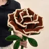 250 Chenille-Pfeifenreiniger, 30 cm, 5 Brauntöne, Basteldraht Productafbeelding-voorbeeld