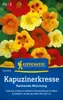 Kiepenkerl Kapuzinerkressesamen Rankende 20 Pflanzen Produktbild-Vorschau 1