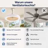 ventilatore da soffitto 30W con illuminazione e Anteprima dell’immagine prodotto 3