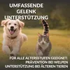 ARTIPET Gelenk-Supplement für Hunde & Katzen, 120 Produktbild-Vorschau 7