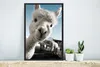 MuchoWow® MuchoWow® Gerahmtes Poster Alpaka - Weiß - Tier Produktbild-Vorschau 5