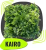 GeckoWall "KAIRO" | Premium Dschungel Farn Pflanzenwand | Produktbild-Vorschau 1