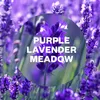 Désodorisant Mèche Lavande Parfum Longue Durée Lavande - Voir les images du produit 3