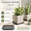 Pflanztopfuntersetzer Jana Anthrazit 34 x 34 cm - Produktbild-Vorschau 7