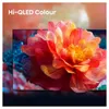 TV Hisense 75E7S (2026) 75" VA QLED 4K UHD Nero Anteprima dell’immagine prodotto 8