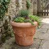 Teramico Vaso in terracotta "Limoni" Resistente al gelo, Anteprima dell’immagine prodotto 4