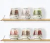 Six clear containers filled with different colored beans or seeds, each sitting on a wooden shelf against a white background. Náhled obrázku produktu