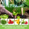ITA Hochbeet mit Frühbeetaufsatz 80x37x78 cm - Pflanzkasten Produktbild-Vorschau 8