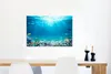 MuchoWow® Poster Unterwasserwelt - Meerestiere - Wasser - Produktbild-Vorschau 5