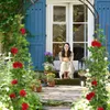Relaxdays Arco di rose, metallo, arco da giardino, A x L x Anteprima dell’immagine prodotto 3