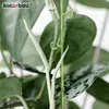 KOTARBAU® Sada 6 podpěr pro rostliny zelená PVC 58 cm Náhled obrázku produktu 9
