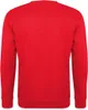Spreadshirt WSQK The Squawk 94.5 FM Dustin Kostüm Uni Produktbild-Vorschau 4