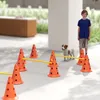 PawHut Agility Set Dogs 6-częściowy sprzęt do agility do Podgląd zdjęcia produktu 5
