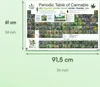 Poster Periodic Table of Cannabis 91.5x61cm. Produktbild-Vorschau 3