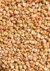 KoRo I Gekeimter  Buchweizen 1 kg Produktbild-Vorschau 3
