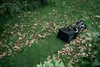 Rasenkehrer-Kit für Mähroboter EcoFlow BLADE (schwarz) Produktbild-Vorschau 2