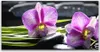 Glasbilder 140x70 Wandbild Druck auf Glas Blumen Steine Produktbild-Vorschau 1