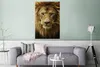 MuchoWow® Poster Porträt - Afrika - Löwe 80x120 cm - Produktbild-Vorschau 5