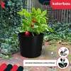 KOTARBAU® 2er Set Tomatenpflanze Pflanzkübel ⌀ 30 cm mit Produktbild-Vorschau 4