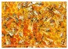 Ein Leben für den Honig: Bienen und Imker (Wandkalender Produktbild-Vorschau 14