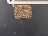 Löwenohr (Leonotis leonurus)  - 20 Samen Produktbild-Vorschau 3