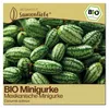 Samenliebe  Gurke Samen | Mexikanische Minigurke - Produktbild-Vorschau 1