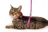 Karlie Art Sportiv Plus Katzen Geschirr mit Leine 110cm, Produktbild-Vorschau 4