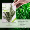 A hand holding a packet of rosemary seeds with a sprig of rosemary on it, with a background of growing rosemary plants. Produktbild-Vorschau