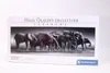 Riesige Elefantenherde Puzzle - 1000 Teile Produktbild-Vorschau 3