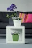 Three potted plants are displayed on and inside a white cube shelf, with a sofa and colorful pillows in the background. Produktbild-Vorschau