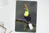 MuchoWow® Mauspad Mousepad Tukan im Regen 40x60 cm - Produktbild-Vorschau 5
