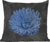 MuchoWow® Outdoor Kissen - Blumen - Schwarz - Weiß - Blau - Produktbild-Vorschau 1