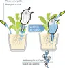 Scheurich 58738, Dekorativ, Wassertank, Kunststoff, Grün, 1 Produktbild-Vorschau 2
