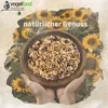 Hands holding a wooden bowl filled with birdseed, with sunflowers in the background and a logo and text overlay. Produktbild-Vorschau