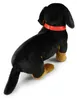 Bassotto Peluche Con Collare 36 Cm Ecologico Anteprima dell’immagine prodotto 4