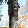 Relaxdays Fledermauskasten, Unterschlupf für Fledermäuse, Produktbild-Vorschau 2