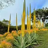 Semená Agave Vilmoriniana - balenie 10 ks - Bez tŕňov - Náhľad obrázku produktu 5