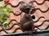 A metal cat figurine sits on a gutter against a backdrop of terracotta roof tiles and pink roses. Produktbild-Vorschau