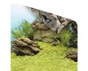 Tylny plakat ścienny JUWEL rośliny/skały 150x60 cm Podgląd zdjęcia produktu 5