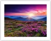 Poster - Poster ohne Rahmen - Wiese Berg Himmel Landschaft Produktbild-Vorschau 1