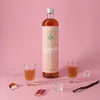 Schmolles Rhabarber-Vanille Likör // 0,5L 15% Produktbild-Vorschau 1