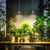 Two LED grow lights illuminating a collection of indoor plants on a wooden table. Anteprima dell’immagine prodotto