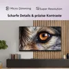 A television displaying a close-up of a wolf's eye, mounted on a wall above a media console. Produktbild-Vorschau