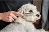 Kit di toelettatura Mikki Doodle con pettine e spazzola per Anteprima dell’immagine prodotto 9