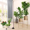 20.4W 122cm Lampa Roślinna Led Pełne Spektrum Rośliny Podgląd zdjęcia produktu 11