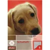 Herlitz Schulheft x.book DIN A5 Lineatur 5 / kariert 16 Produktbild-Vorschau 4