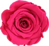 Infinity Rose L Ø5cm konserviert stabilisiert haltbar Produktbild-Vorschau 1