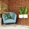 2x Bogenhanf, pflegeleichte Zimmerpflanzen, Sansevieria Produktbild-Vorschau 3