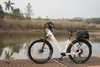 2026 E-bike 27,5-Zoll 48V 15AH City E-Bikes E-Hollandräder Produktbild-Vorschau 9