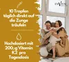 Vitamin K2 - Menaquinon MK-7 all-trans-Vitamin hochdosiert Produktbild-Vorschau 8